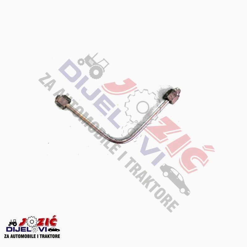 Daisy on the Ohoopee